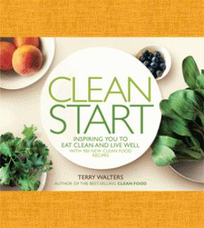 Cover of book Clean Start by Terry Walters